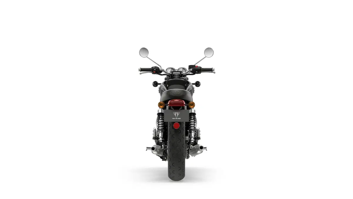  Triumph Bonneville T100 2021 (26)