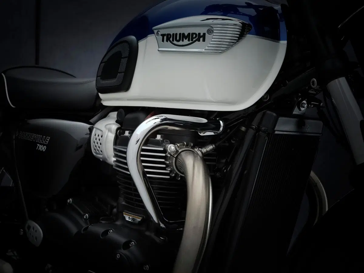  Triumph Bonneville T100 2021 (37)