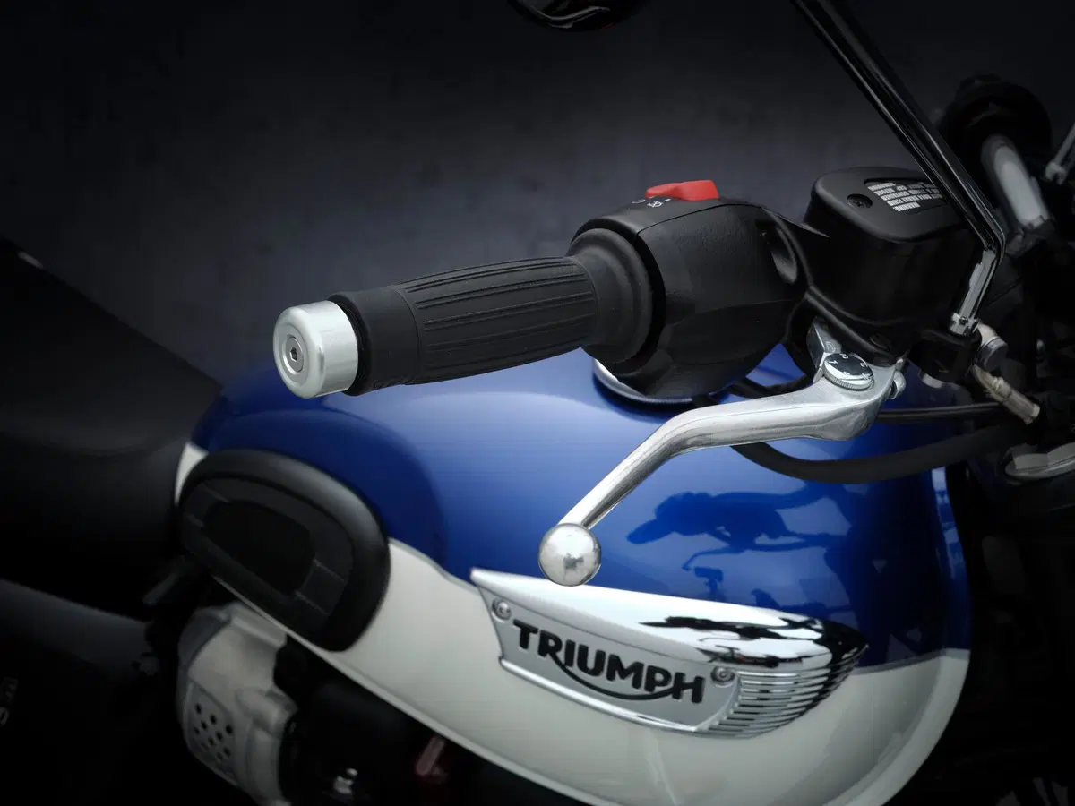  Triumph Bonneville T100 2021 (39)