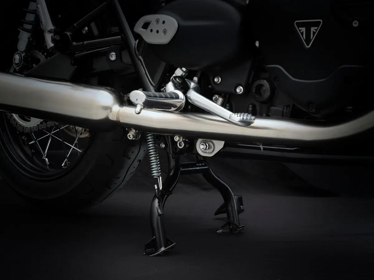  Triumph Bonneville T100 2021 (40)
