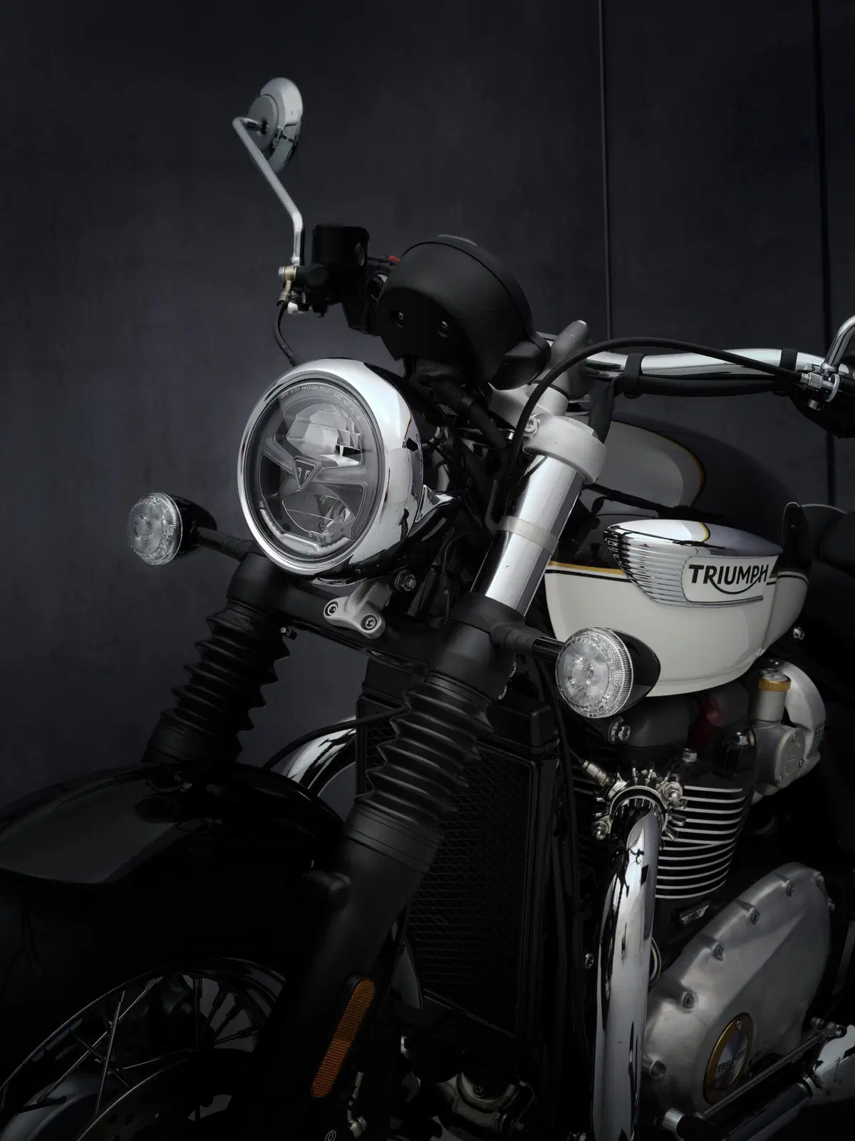 Triumph Bonneville Speedmaster 2021 (11)