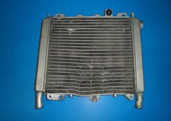 RADIATORE CON PICCOLO DANNO RADIATOR APRILIA SCARA 