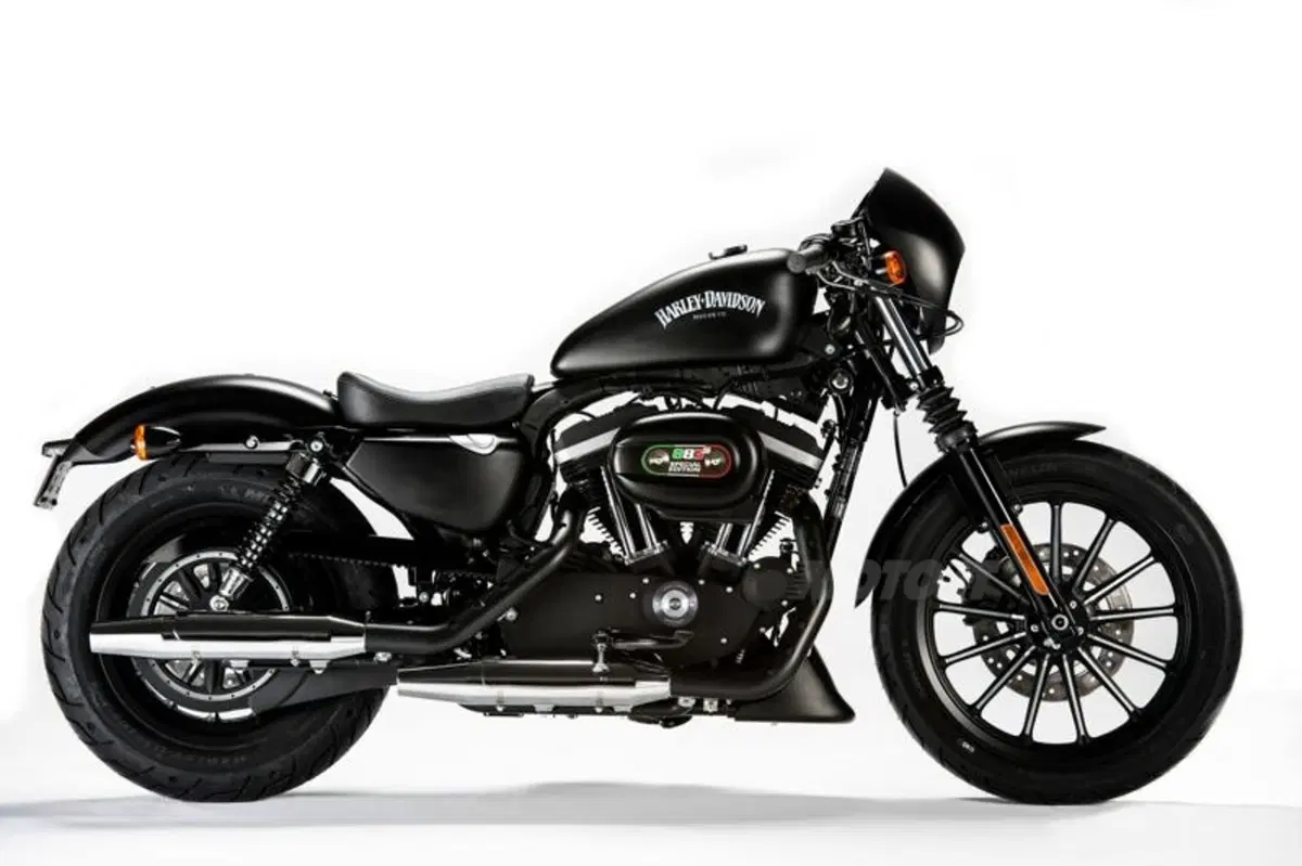 Harley-Davidson Iron 883 Special Edition S, the Black Beauty (2)