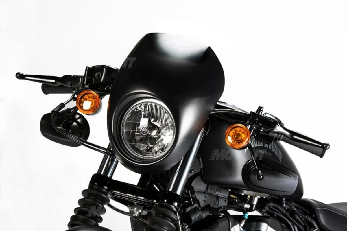 Harley-Davidson Iron 883 Special Edition S, the Black Beauty (6)