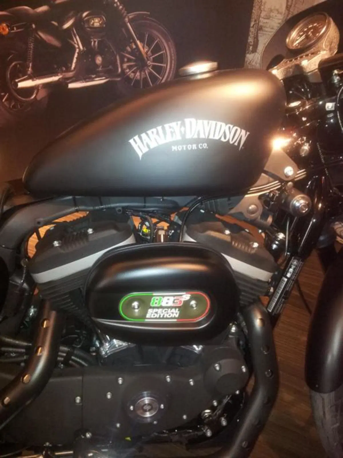 Harley-Davidson Iron 883 Special Edition S, the Black Beauty (9)