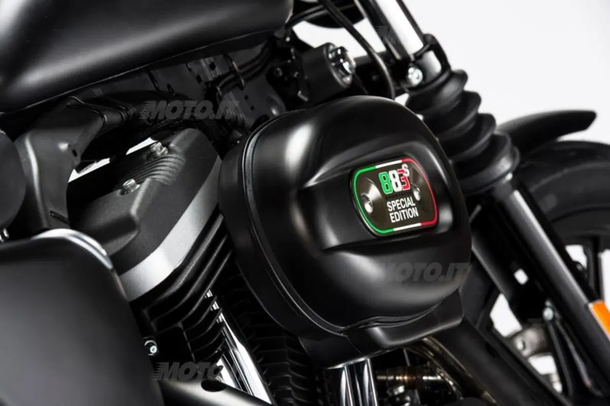 Harley-Davidson Iron 883 Special Edition S, the Black Beauty (10)