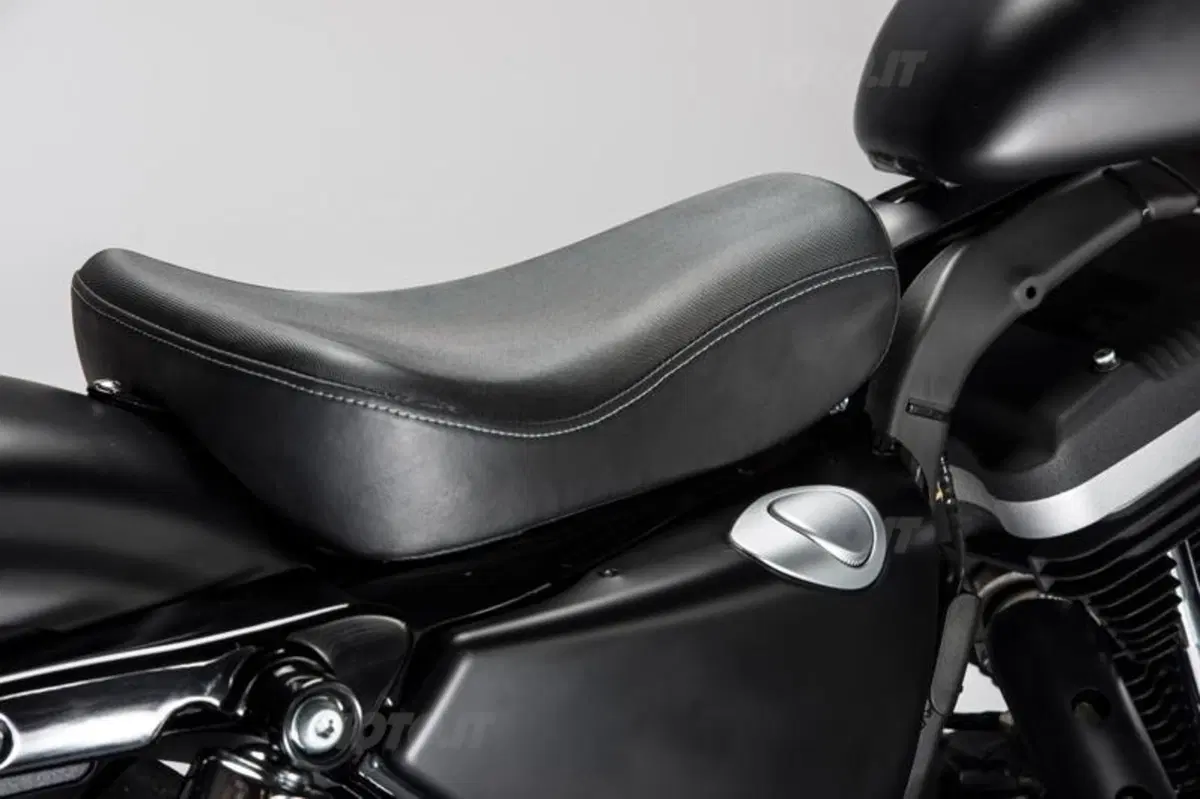 Harley-Davidson Iron 883 Special Edition S, the Black Beauty (13)
