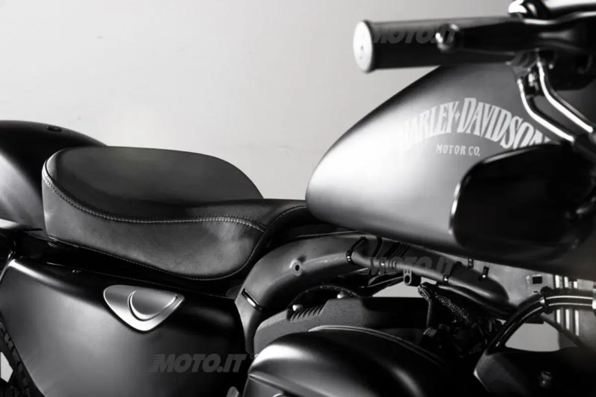 Harley-Davidson Iron 883 Special Edition S, the Black Beauty (15)