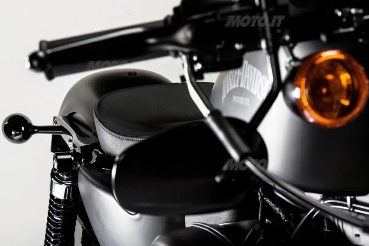 Harley-Davidson Iron 883 Special Edition S, the Black Beauty (16)
