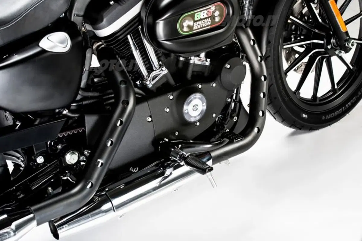 Harley-Davidson Iron 883 Special Edition S, the Black Beauty (19)