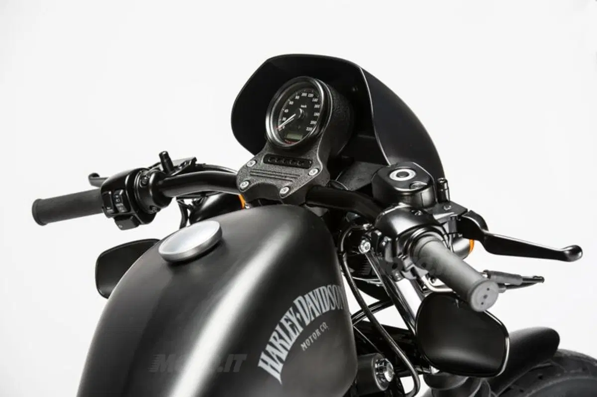 Harley-Davidson Iron 883 Special Edition S, the Black Beauty (21)