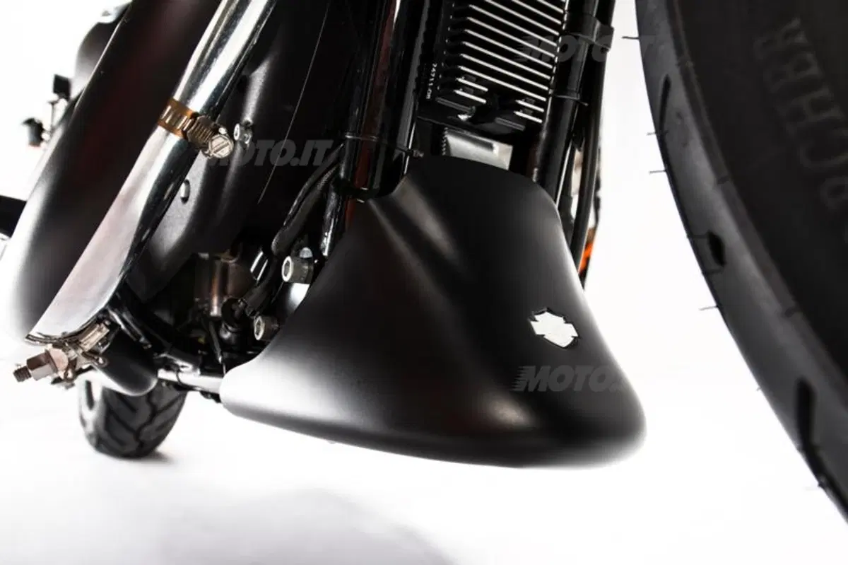 Harley-Davidson Iron 883 Special Edition S, the Black Beauty (23)