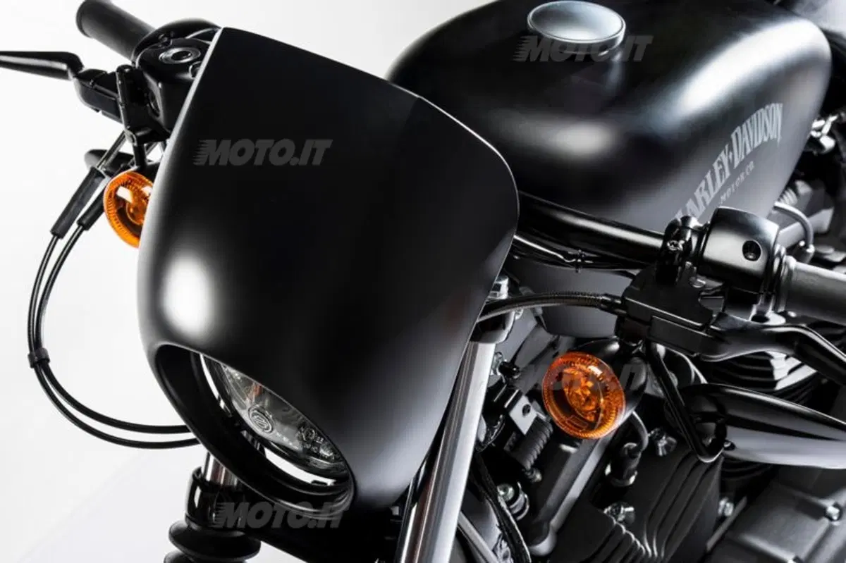 Harley-Davidson Iron 883 Special Edition S, the Black Beauty (24)