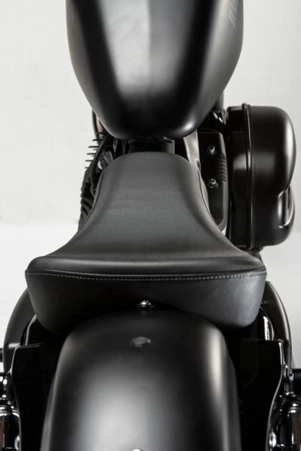 Harley-Davidson Iron 883 Special Edition S, the Black Beauty (29)