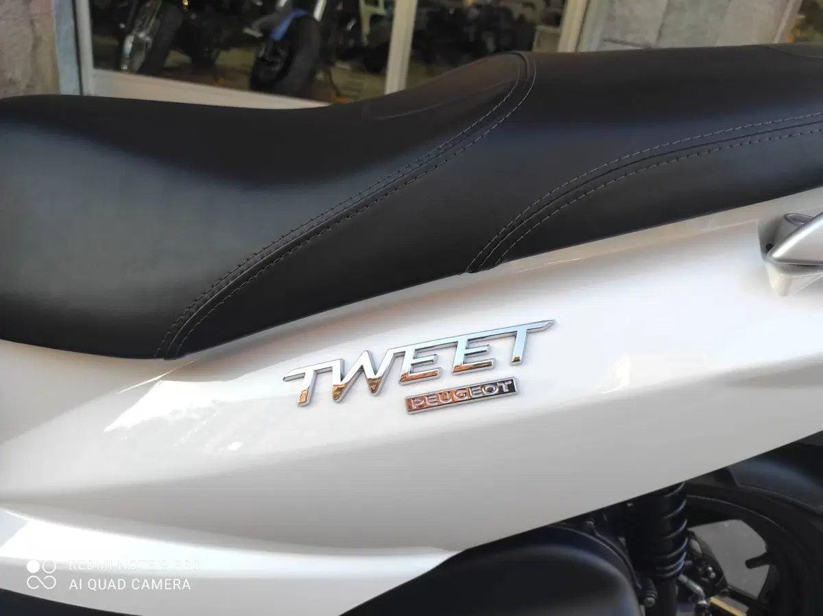 Peugeot Tweet 125i Active (2021 - 25) (8)