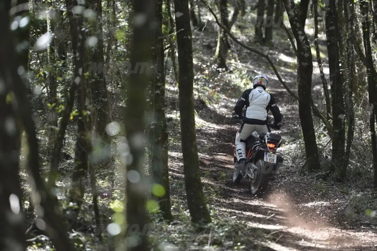 KTM 1190 Adventure R (4)