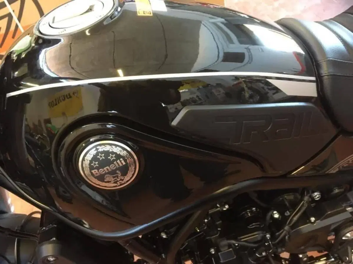 Benelli Leoncino 500 Trail ABS (2017 - 20) (5)
