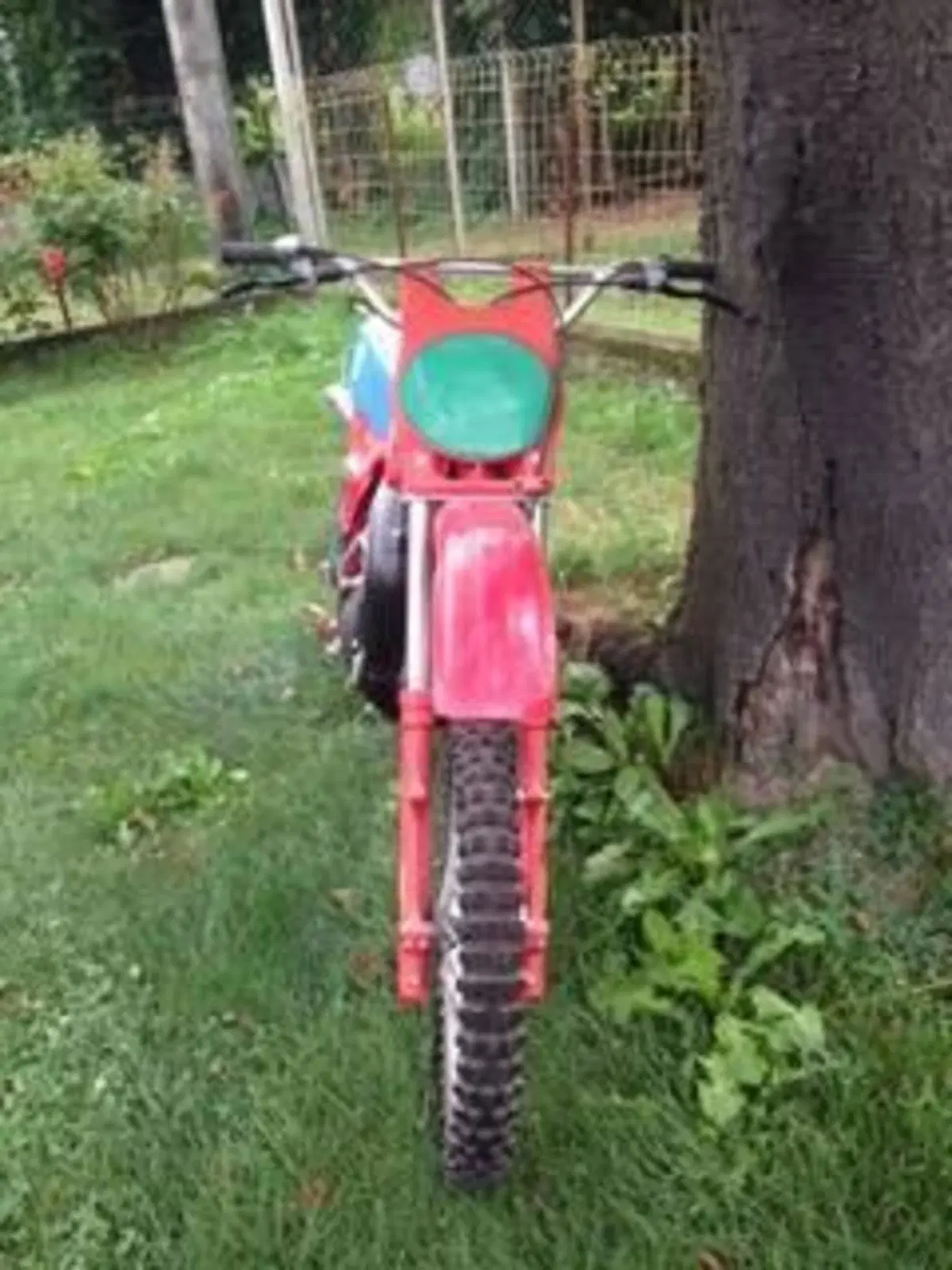 Betamotor cr 250 (2)