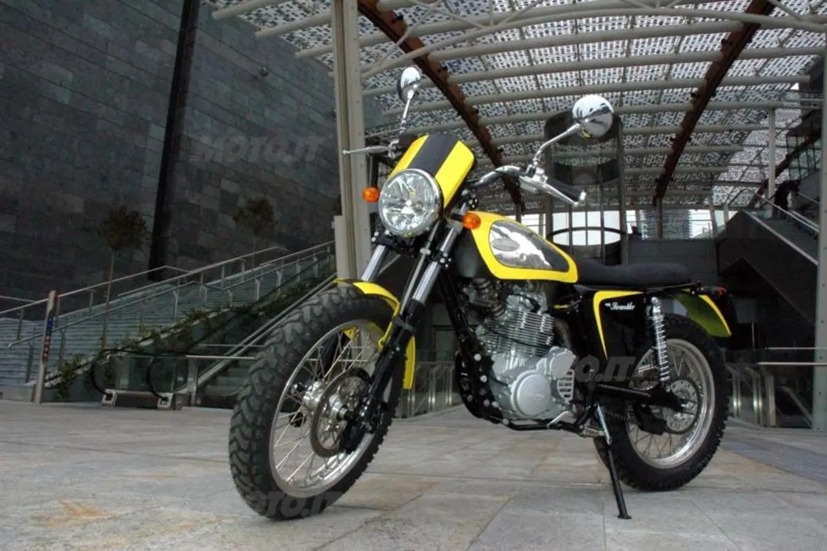 Borile B450 Scrambler (16)