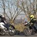 Honda Crossrunner VS Triumph Tiger 800