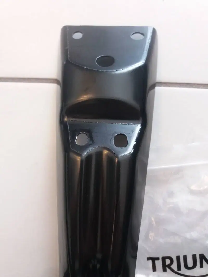 Portatarga Triumph (6)