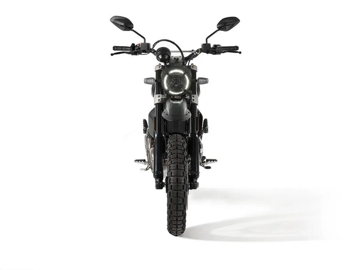 Ducati Scrambler Desert Sled Fasthouse. Nuova Limited Edition (6)