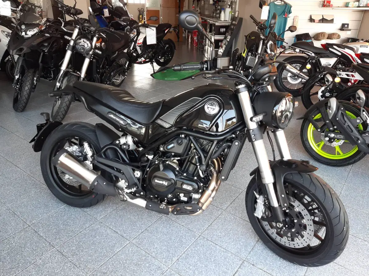 Benelli Leoncino 500 (2021 - 25)