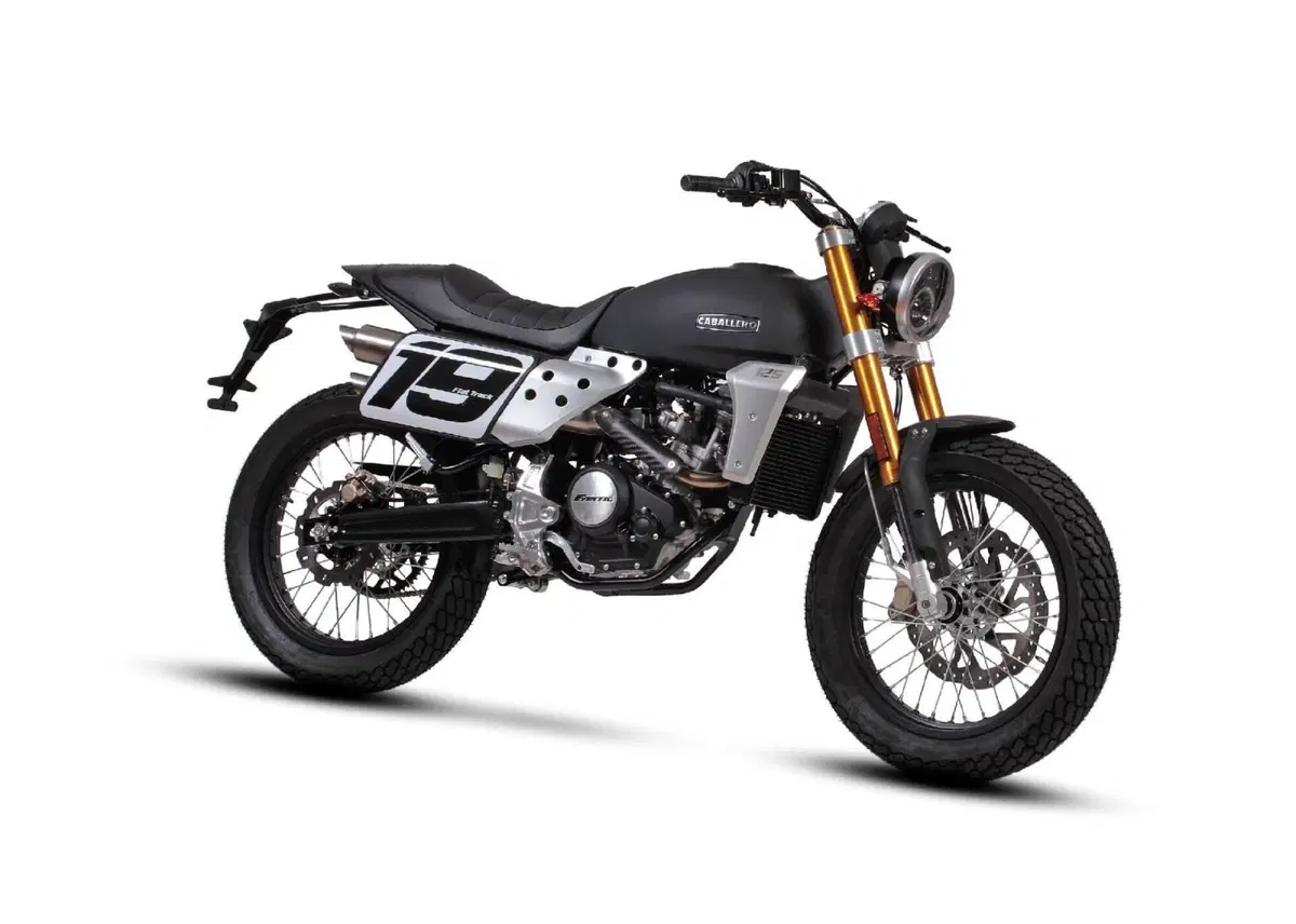 Fantic Motor Caballero 125 Flat Track (2021 - 24) (3)