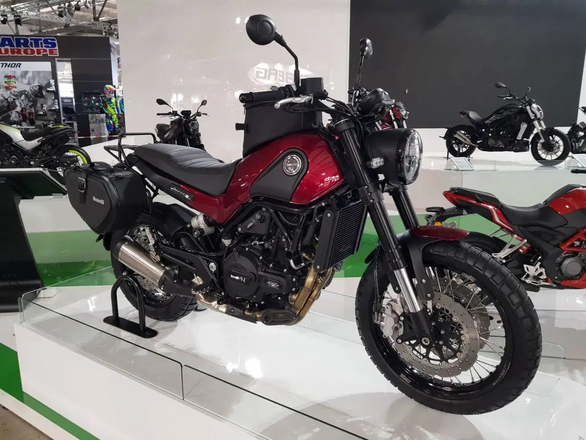 Benelli Leoncino 500 Trail (2021 - 26) (4)