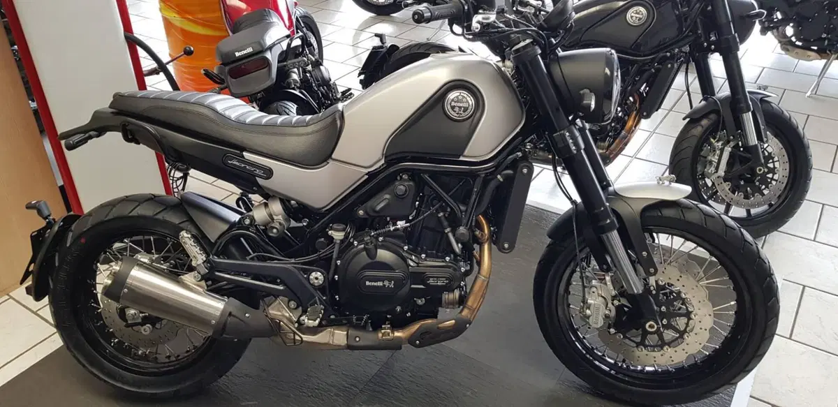 Benelli Leoncino 500 Trail (2021 - 26) (7)
