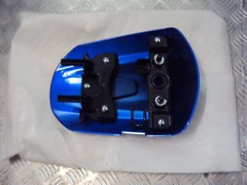 CODINO COPRISELLA Suzuki (2)