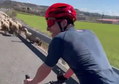 Marc Marquez non riesce a sorpassare... Le pecore [VIDEO]