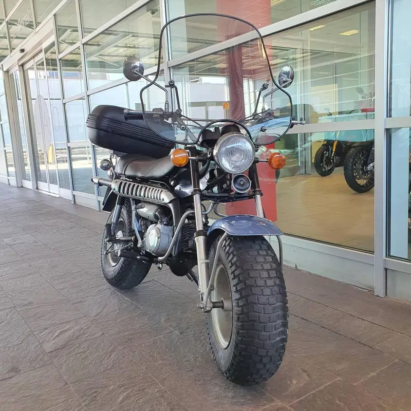 Suzuki RV 90 (3)