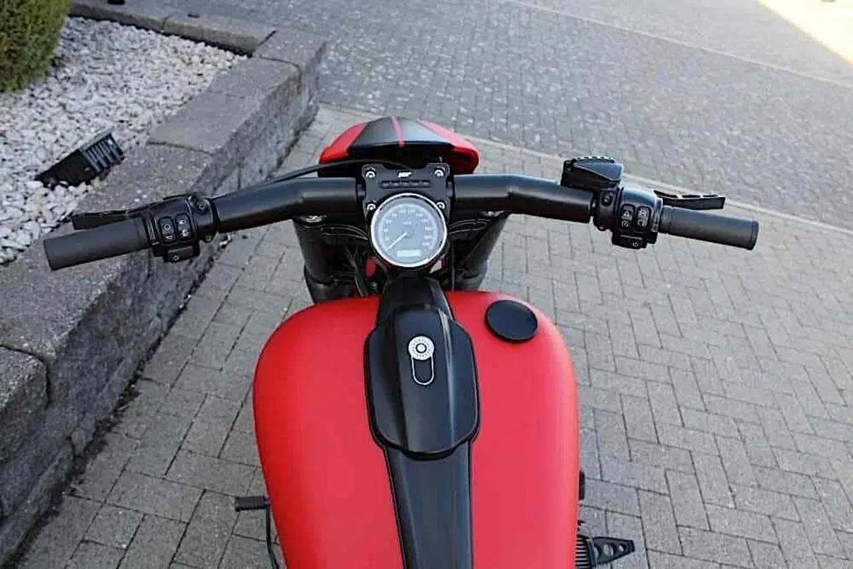 Harley-Davidson Enzo. La Ferrari Softail (11)