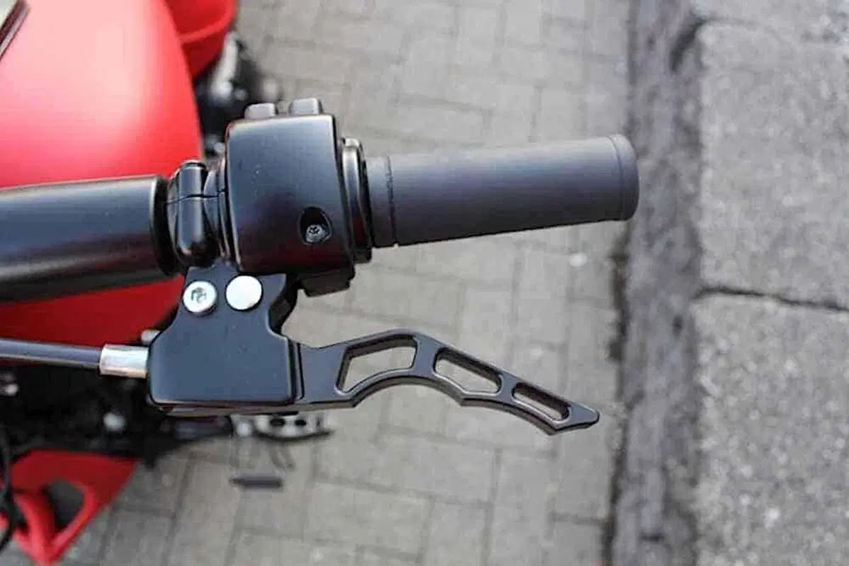 Harley-Davidson Enzo. La Ferrari Softail (10)