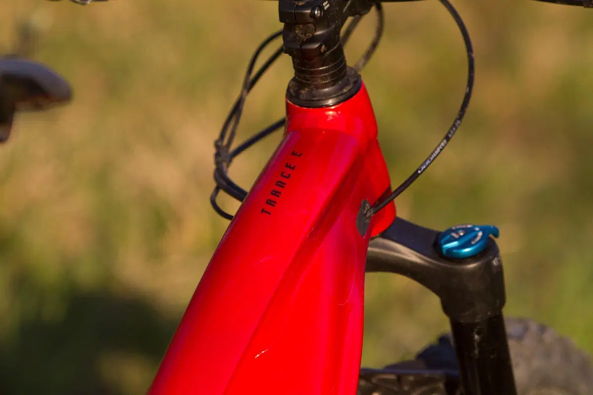 Giant Trance X E+ Pro 2 (3)