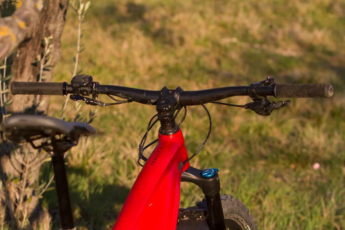 Giant Trance X E+ Pro 2 (6)
