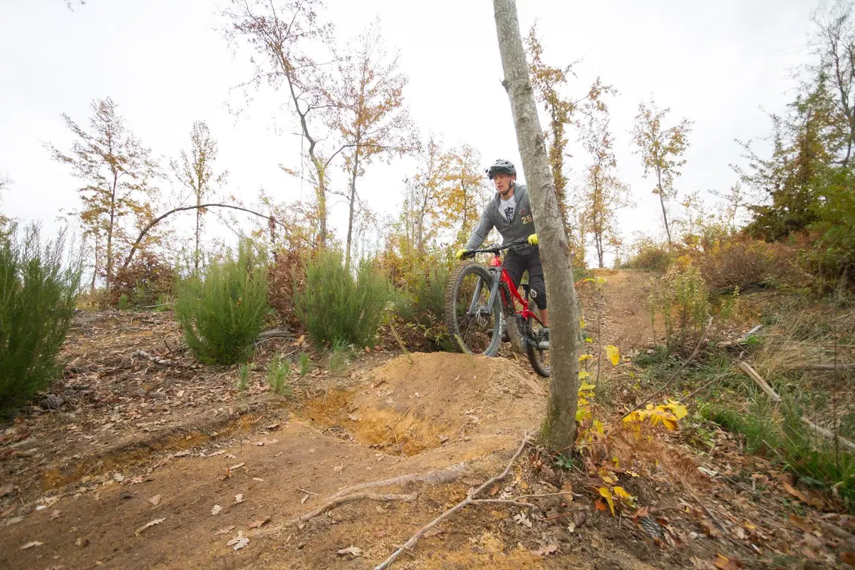 Giant Trance X E+ Pro 2 (22)
