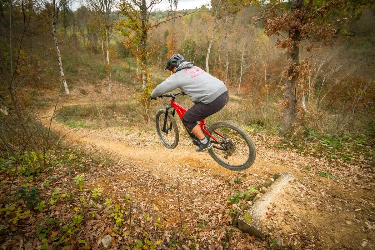 Giant Trance X E+ Pro 2 (26)