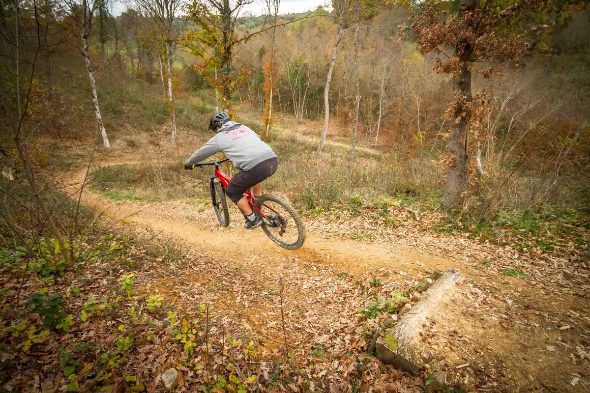 Giant Trance X E+ Pro 2 (28)