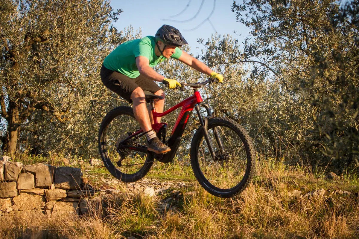 Giant Trance X E+ Pro 2 (30)