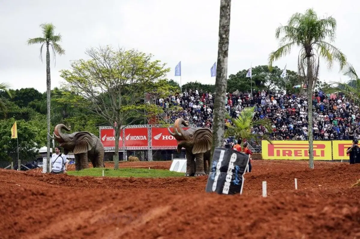 Le foto più belle del GP del Brasile (3)
