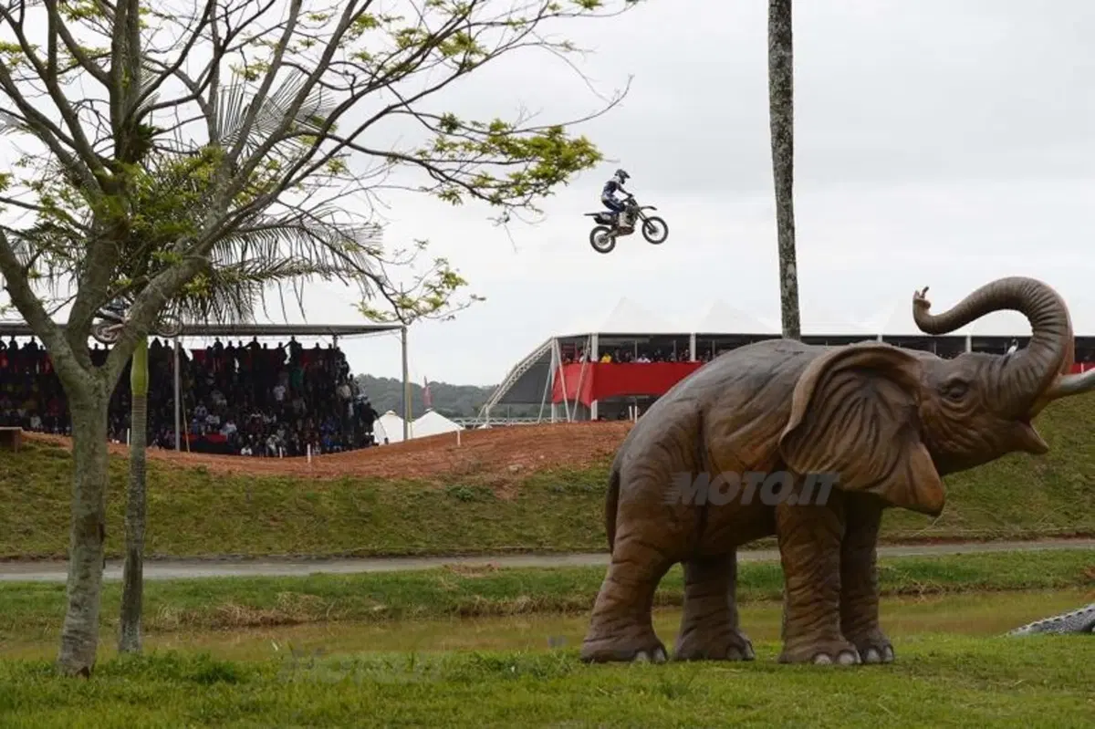 Le foto più belle del GP del Brasile (15)