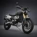 Nuove Triumph Scrambler 1200 XC e XE 2021