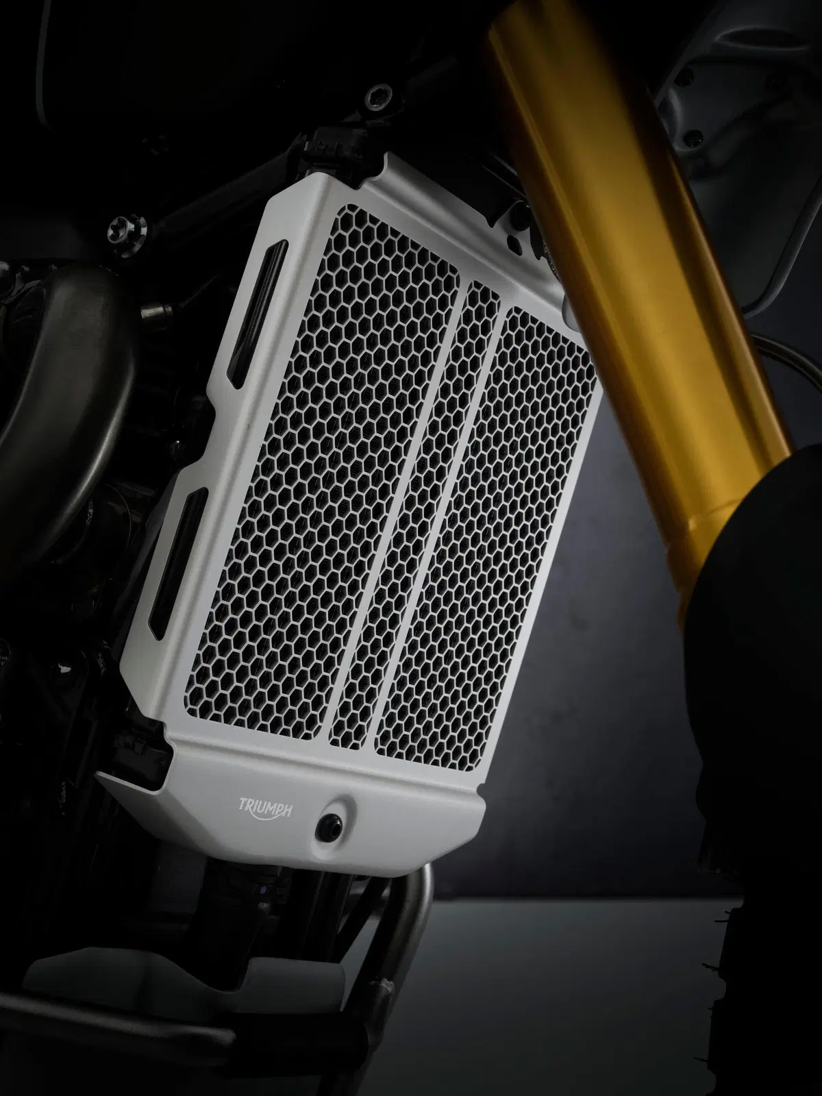 Nuove Triumph Scrambler 1200 XC e XE 2021[NON PUBBLICARE, EMBARGO FINO ALLE 13:00 DEL 13 APRILE] (9)