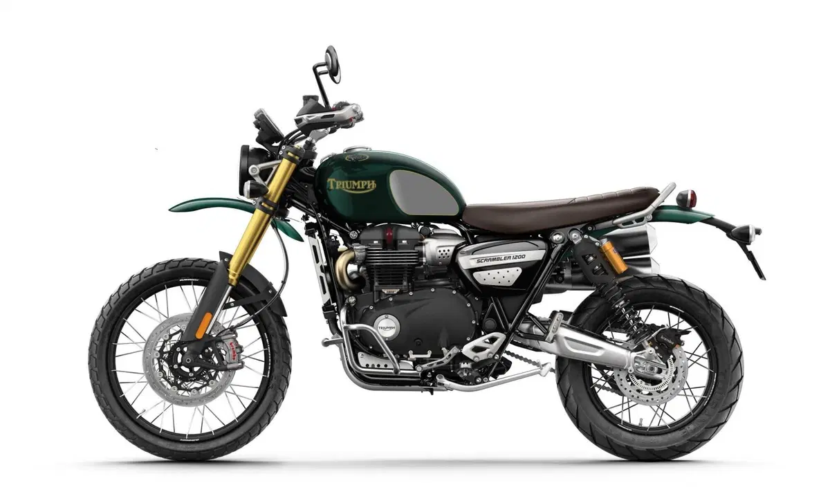 Triumph Scrambler 1200 Scrambler 1200 Steve McQueen Edition (2021 - 22) (2)