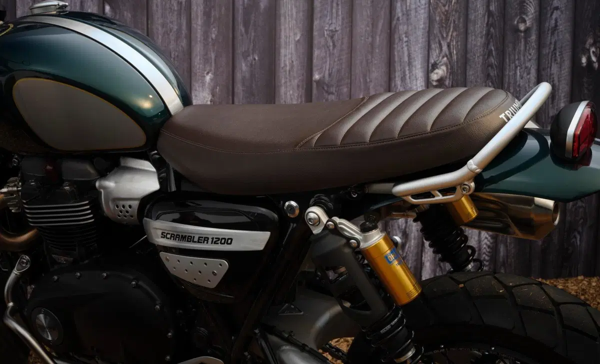 Triumph Scrambler 1200 Scrambler 1200 Steve McQueen Edition (2021 - 22) (6)