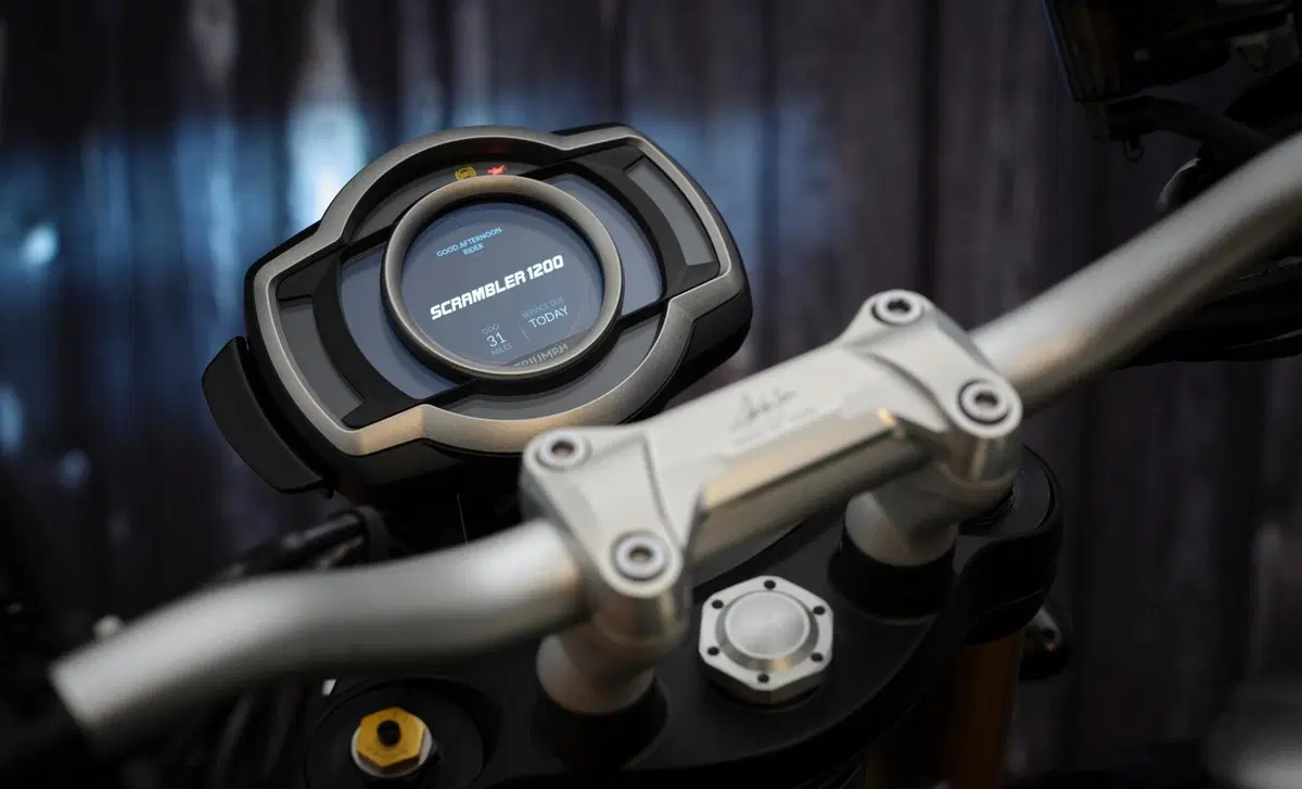 Triumph Scrambler 1200 Scrambler 1200 Steve McQueen Edition (2021 - 22) (7)