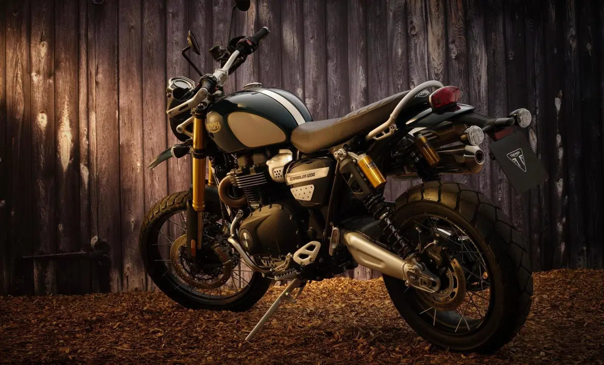 Triumph Scrambler 1200 Scrambler 1200 Steve McQueen Edition (2021 - 22) (8)