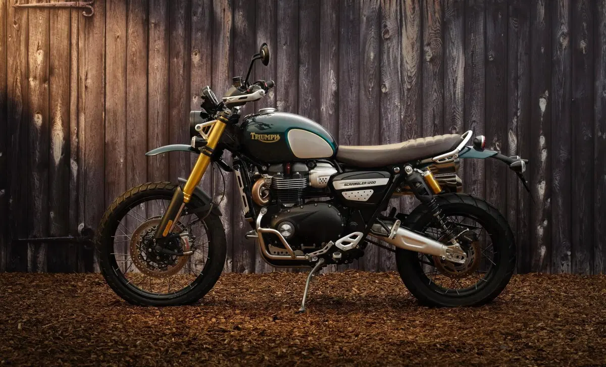 Triumph Scrambler 1200 Scrambler 1200 Steve McQueen Edition (2021 - 22) (12)